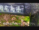 小枝に似た昆虫〜「ナナフシ」（七節もどき）　極楽寺山にて。