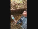 ホモと見る蜂の巣を叩くsyamuコーデ男