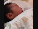 遅くなりましたが、無事8月11日産まれました♪