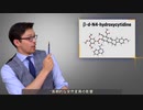 コロナ治療薬「モルヌピラビル」にリスクはないのか・いつもｵﾚﾉﾎｰｶﾞｱﾀﾏｲｲ₋!みたいな書き込みをしているｲﾝﾎﾞｳﾛﾝｶﾞｰさん、この動画の内容より知性と品性のあるｲﾁｬﾓﾝありますか～？