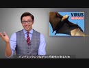 武漢ウイルス研究所がサンプルを採集する理由は？ ｲﾝﾎﾞｳﾛﾝｶﾞｰとｺﾝｷｮｶﾞﾅｲﾆﾀﾞｰとｼｮｳｺｶﾞﾅｲﾆﾀﾞｰとﾜｸﾁﾝｽｲｼﾝﾊの皆さんは知識や情報より正しい自己主張を身に付けてくださいね