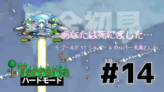 【女性実況】卒論に追われた女子大生たちがハードな世界に逃避する#14【terraria テラリア ハードモード】