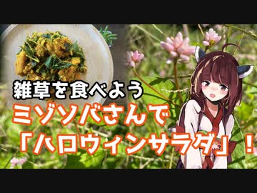 【思い切って野草を食べてみよう】#40 ミゾソバさんで「ハロウィンサラダ！」