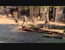 Fight!!