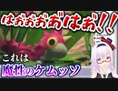 ケムッソでハチャメチャに興奮するカルロピノ