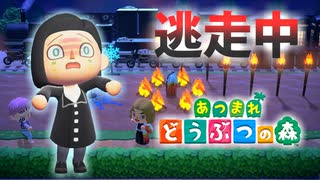 【あつ森】逃走中を森でやってみた 鬼滅の刃編 inわこみ島【実況】あつまれどうぶつの森