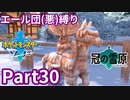 ポケモン剣ではエール団(悪)のポケモン縛りでやっていくPart30