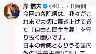 やべーよ！衆院選　国民審査！