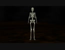 【MMD】Skeleton (2021 Edition)