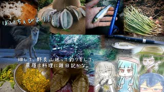 ぼいちぇびより～畑して、野良山巡って釣りをして、草履に料理に雑日記かな。～
