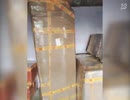 Movers and Packers in Noida
