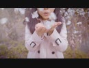 桜咲く道