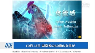 中国で鳥インフルエンザ発生・ウイルスの変異株に警戒