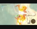 依頼を受けて、ＷＢでドラゴンと一緒に飛んでみた