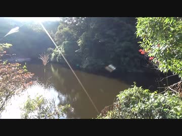 公園散歩