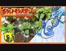 【実況】ヒマナッツが瀕死になったら「現実でひまわりを育てる」縛り（Part⑰）