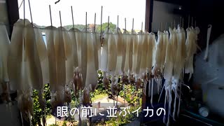 【音街ウナ】波戸岬グルメ
