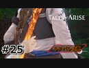 #25.変わりゆく気持ち【TALES of ARISE】【ネタバレ注意】(畑)