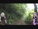【ニコニコ自転車動画祭2021秋】グラベルロード セカンドインプレッション【結月ゆかり】