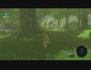 野生の息吹を感じよ【ゼルダの伝説　ブレス オブ ザ ワイルド実況プレイ】part7