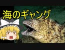 【ゆっくり実況】宝島を目指すゆっくりの海釣りpart16【海のぬし釣り～宝島に向かって～】