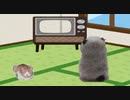 じこぶっけん
