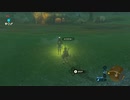 野生の息吹を感じよ【ゼルダの伝説　ブレス オブ ザ ワイルド実況プレイ】part8
