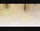ノンブレス・オブリージュ / 水族もち【歌ってみた】
