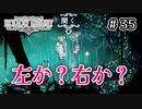 【実況】HOLLOW KNIGHT #35 優柔不断の行く末は・・・？