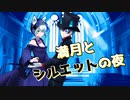【 満月とシルエットの夜 】天色凪輝 × みるす (歌ってみた)