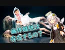 本当に幽体離脱って存在するの？inハロウィン【VOICEROID解説】