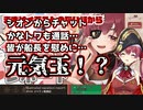 復帰配信前に慰め要員を召喚する宝鐘マリン