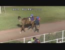 ２歳ＣＳ・未来優駿２０２１ 報知新聞社杯 第6回黒潮ジュニアチャンピオンシップ パドック～本馬場入場