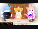【実況】2021/10/31【ネコトモ　スマイルましまし】