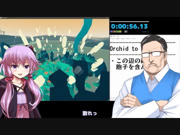 Orchids to Dusk RTA　再走1分19秒