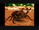 MUSHIKING The King of Beetles - Rescue Beetle Friends!