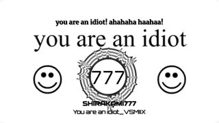 【ボーカロイドカバー】You are an idiot VSMIX