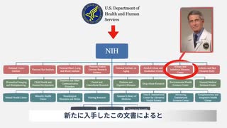 多数の犬を拷問虐殺！ 物議を醸すファウチのおぞましい実験!! 160万ドルの税金を投入し無意味な動物虐待を継続!!!