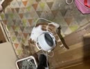 　愛知県名古屋市南区柴田町1−5サンライズマンション302号室在住。吉永壽美。ヒサミ・ウスイ・ヨシナガ。吉永ぱんじぃ。Hisami Usui Yoshinaga。