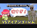 【マインクラフト】VSアイアンゴーレム（私立ほんぽー学園）