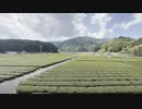 引地研介と大井川鉄道の旅 #2