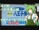 【八王子】アラフォーおっさんの休日録　道の駅八王子滝山編【ずんだもん車載】
