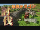 【実況】建築した町を壊滅させた悪しきドラゴンを討伐しました【マイクラ】part5