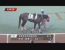 スモモモモモモモモ　デビューから12戦目でついに初勝利！【2021年11月1日大井競馬3R】