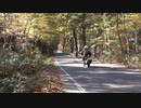 坤六峠 奥利根湯けむり街道 CBR250R ハロウィン バイク PV Part10