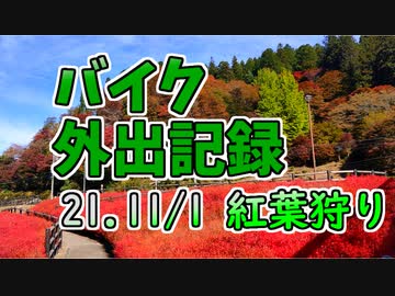 [ジクサー150]外出記録21.11/1 ついなちゃんバイク車載[モトブログ]