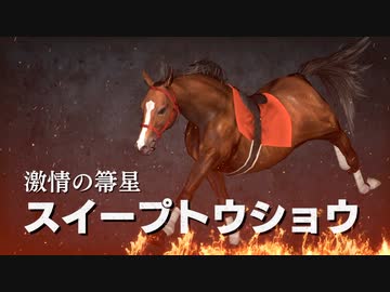 凱旋門デカスギ.WP9 2021 第41R(2004)