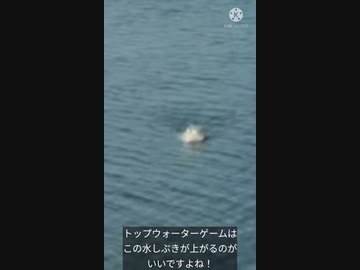 トップウォーターゲームヒットシーン