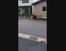 【ニコカラ】4！って鳴く犬 / yu feat. 犬【on vocal】