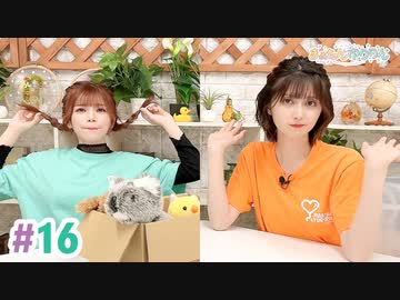 【高画質・完全版】まぁたんゆりりん 第16回